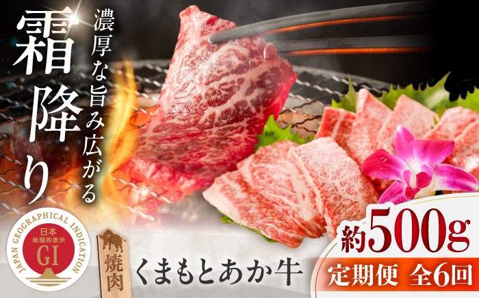 
                  【全6回定期便】GI認証 くまもとあか牛 焼肉 約500g 計約3kg / 熊本 あか牛 ブランド牛 赤牛 あかうし 霜降り 冷凍 国産 ステーキ肉 熊本県 菊陽町【菊陽町(阿蘇牧場)】 [BHAZ027]
                