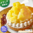 【ふるさと納税】【全12回定期便】パイナップルチーズタルト1ホール(18cm)【心優　−Cotoyu Sweets−】[KAA547]