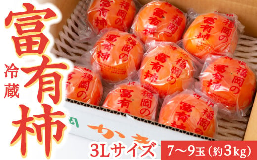 伊藤園 冷蔵富有柿 (3Lサイズ) 7玉から9玉 (約3kg) 2024年12月中旬から12月下旬 出荷予定