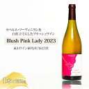 【ふるさと納税】ワイン Blush Pink Lady 2023 Veraison-note　【上田市】