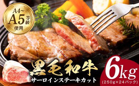 A5/A4ランク 黒毛和牛 サーロインステーキカット 合計6kg（250g×24P）【極味付け肉】