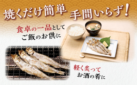 【ふるなび限定】しらぬか産 特大本ししゃも【特大20尾（オスメス各10尾）】FN-Limited_A020-1074
