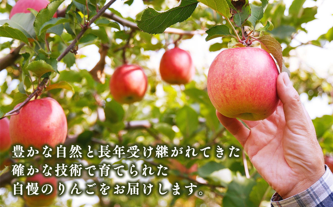3月 サンふじ約3kg 糖度13度以上【hi-0009-013】