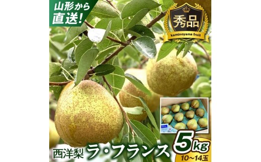西洋梨（ラ・フランス）５ｋｇ　１０～１４玉　0079-2619