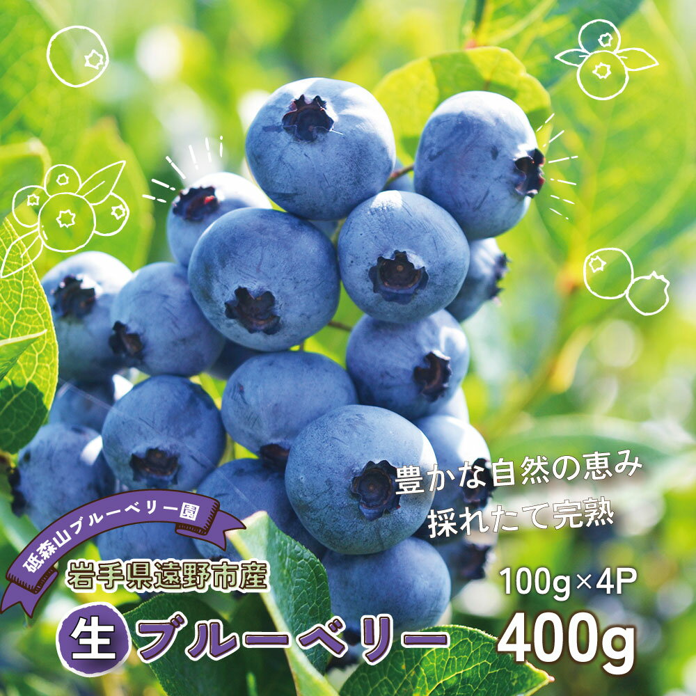 【ふるさと納税】ブルーベリー 生 400g 100g×4パック 岩手県 遠野市 遠野食工房蔵 / 栽培期間中 農薬不使用 無農薬 除草剤 不使用 砥森山ブルーベリー園 完熟 生ブルーベリー 旬 甘い 摘みたて 完熟 新鮮 国産 小分け アントシアニン デザート 冷蔵 産地 直送 人気 おすすめ