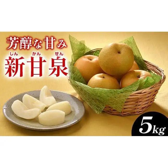 新甘泉（しんかんせん）5kg（ＪＡ）※2026年8月中旬～9月上旬頃に順次発送予定  梨