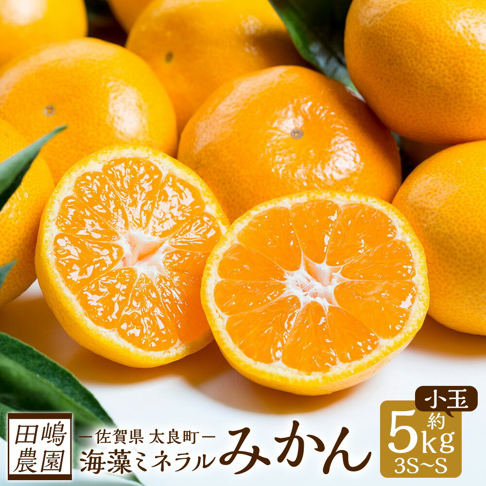 【ふるさと納税】海藻ミネラル小玉みかん 5kg L21x1 【2026年10下旬～2027年1月上旬迄発送予定】