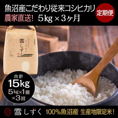 ふるさと納税 十日町市 【毎月定期便】魚沼産こだわり従来コシヒカリ  5kg(5kg×1袋)×3回 合計15kg全3回