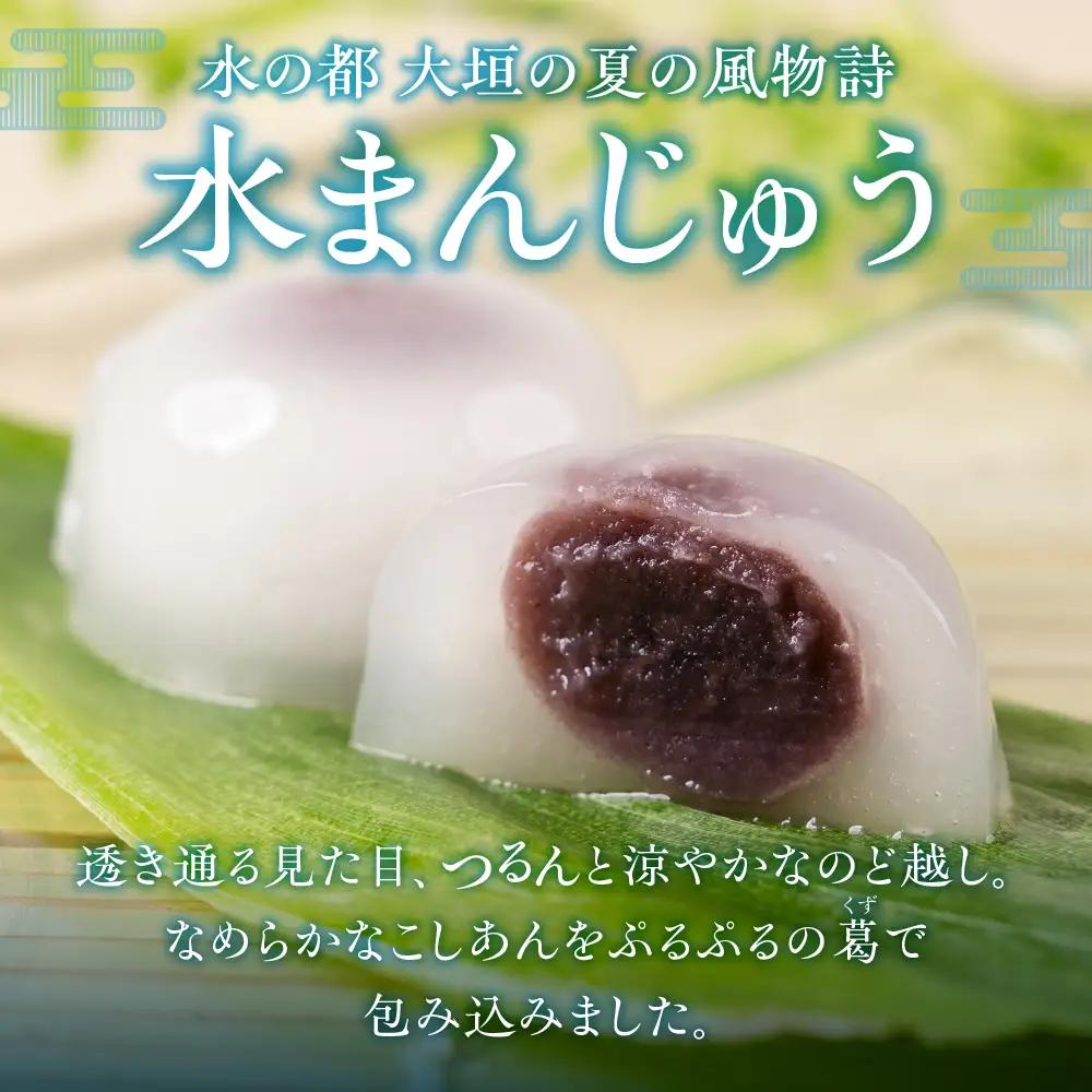 岐阜 大垣名物 水まんじゅう 15個  季節限定 10月25日まで まんじゅう