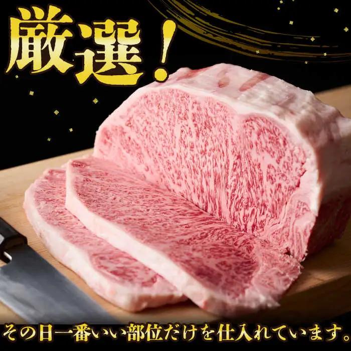 【2回定期便】A4-A5 長崎和牛 サーロインステーキ (250g×2)   和牛サーロインステーキ [DBS085] 牛肉 焼肉 ステーキ 