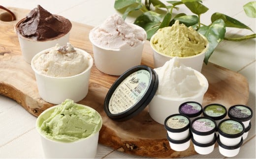 ジェラート 12個セット アイス 90ml 6種 各2個 ミルク いちごミルク ピスタチオ チョコ 抹茶 ラムレーズン 詰め合わせ 食べ比べ 岡山県 倉敷市