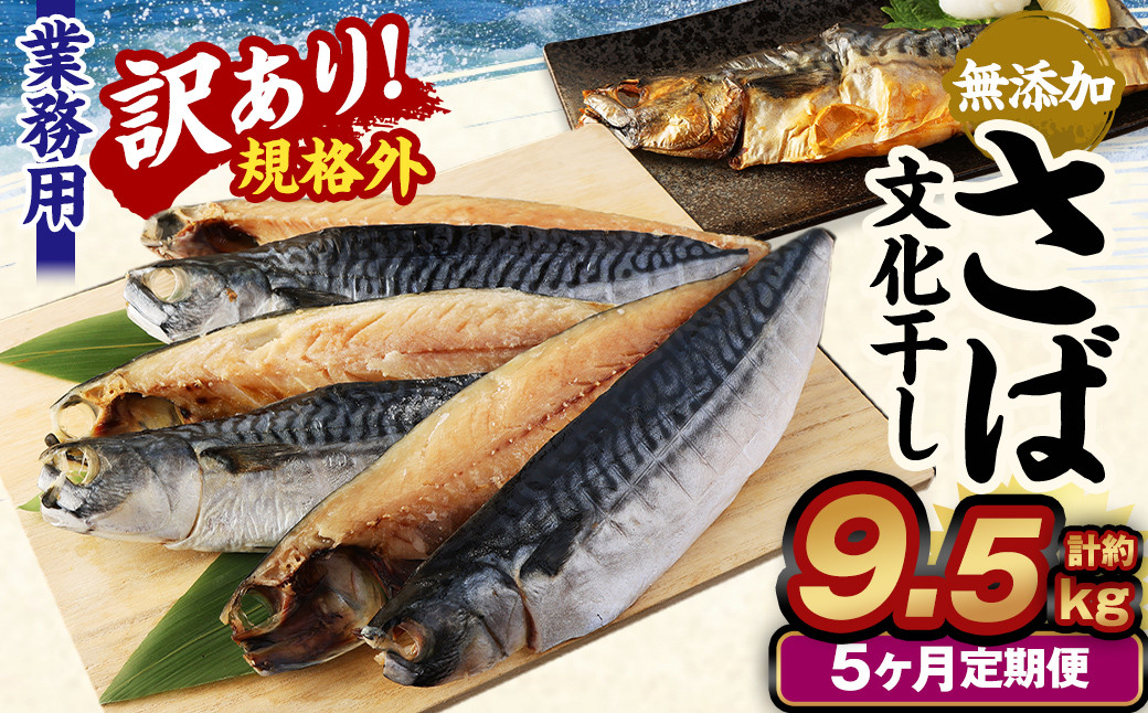 【5ヶ月定期便】【訳あり規格外】 業務用 無添加さば 文化干し 1.9kg