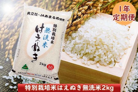 ＜12月開始＞庄内米１年定期便！ 特別栽培米はえぬき無洗米2kg（入金期限：2024.11.25）