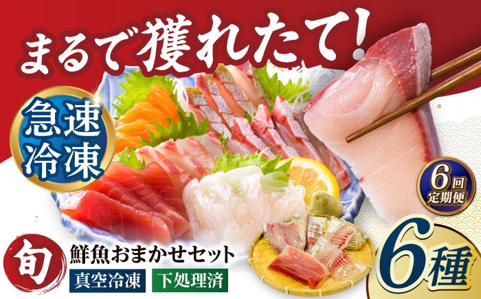 
            【6回定期便】海鮮 超速冷凍鮮魚6種（5種+焼物用1種）五島市/金沢鮮魚[PEP066]刺身 さしみ 刺し身 刺身セット 刺身 刺身丼 海鮮丼 セット 冷凍 海鮮  海鮮丼の具 盛り合わせセット 小分け 海鮮 魚介人気  セット 魚介類 海鮮 人気 柵 真空パック 新鮮 下処理済み
          