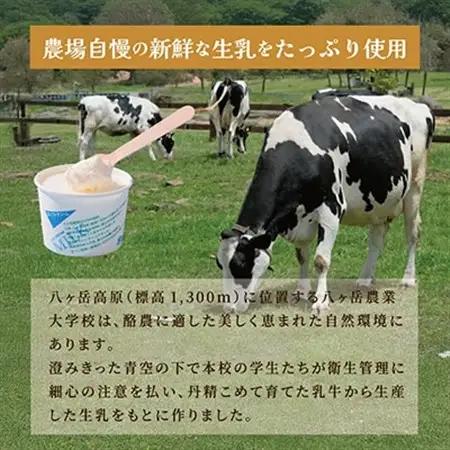 八ヶ岳農場 生ソフトクリームアイス 12個_菓子・スイーツ アイス・ジェラート  _【配送不可地域：離島】【1600425】