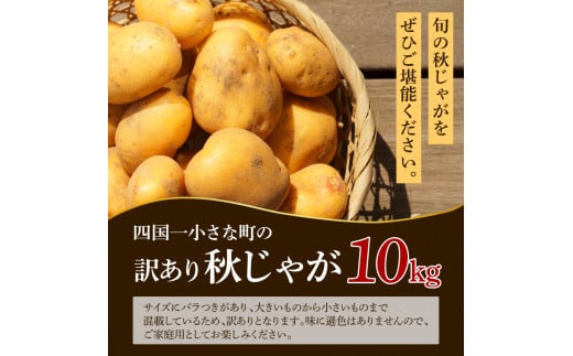 【四国一小さなまちのじゃがいも】★令和7年11月中旬発送開始★ 大野台地で採れた『 令和7年産 秋じゃが 』 10kg　～ 訳あり ～