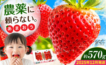 【2025年12月より発送】『自然環境農法』で育てた福岡県産 あまおう 約285g×2パック＜おおきベリー株式会社＞那珂川市[GZE007]
