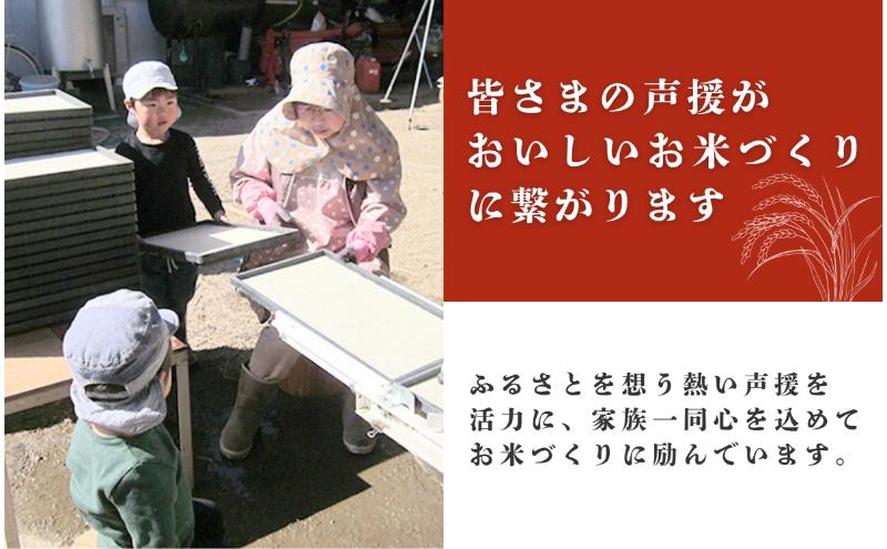 米 令和7年産 定期便 12ヵ月 コシヒカリ 関口さんちのお米 3kg お米 白米 ブランド米 定期 12回
