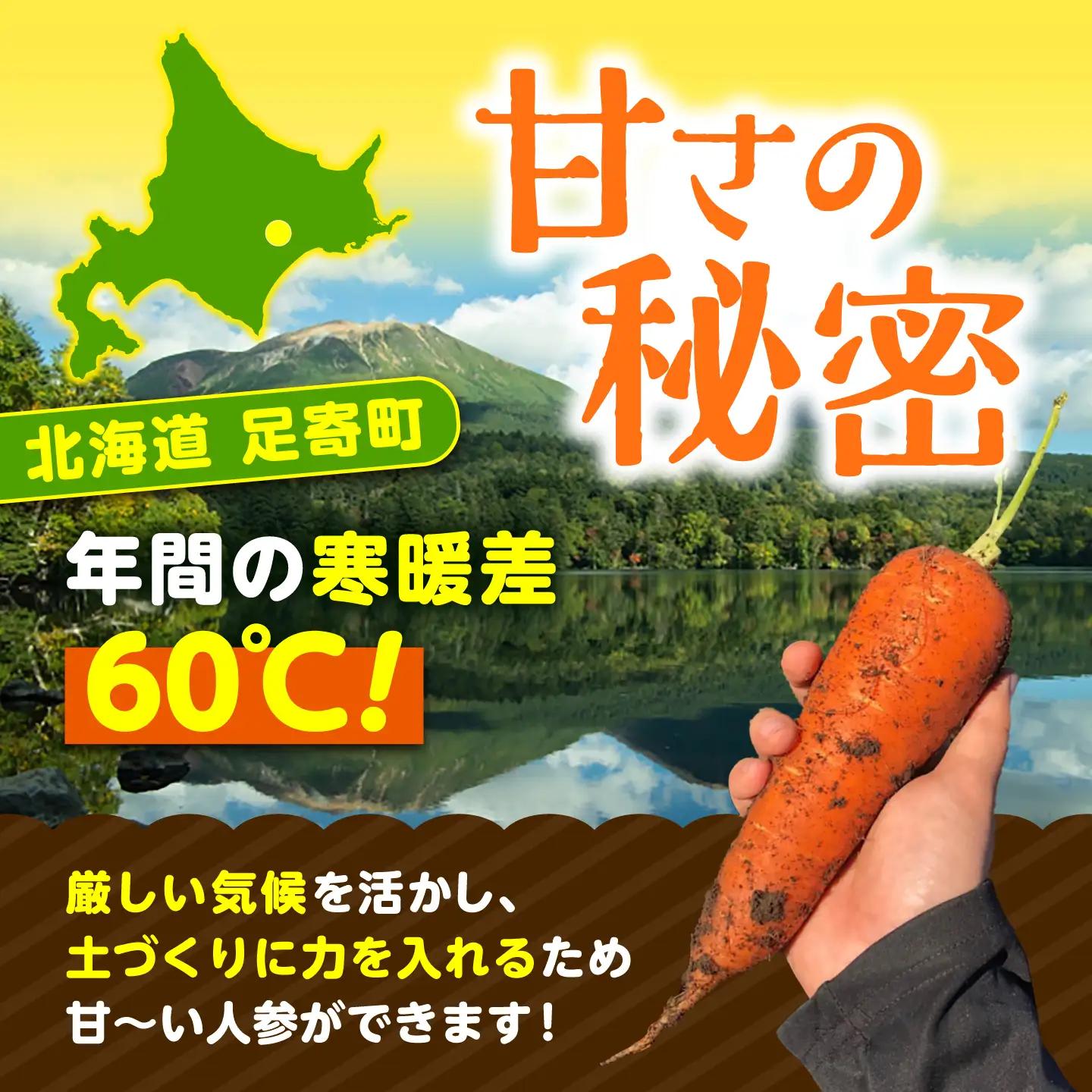 【先行予約】訳あり 北海道 にんじん 3kg 土付き[BEBA004]