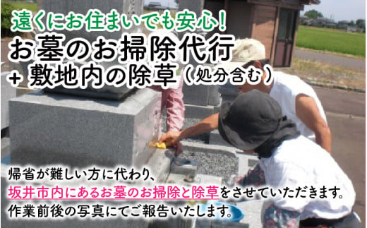 
遠くにお住まいでも安心！ お墓のお掃除代行 【1回1基あたり2坪（6.6平米）の範囲まで】 ＋ 敷地内の除草（処分含む） [B-11472]
