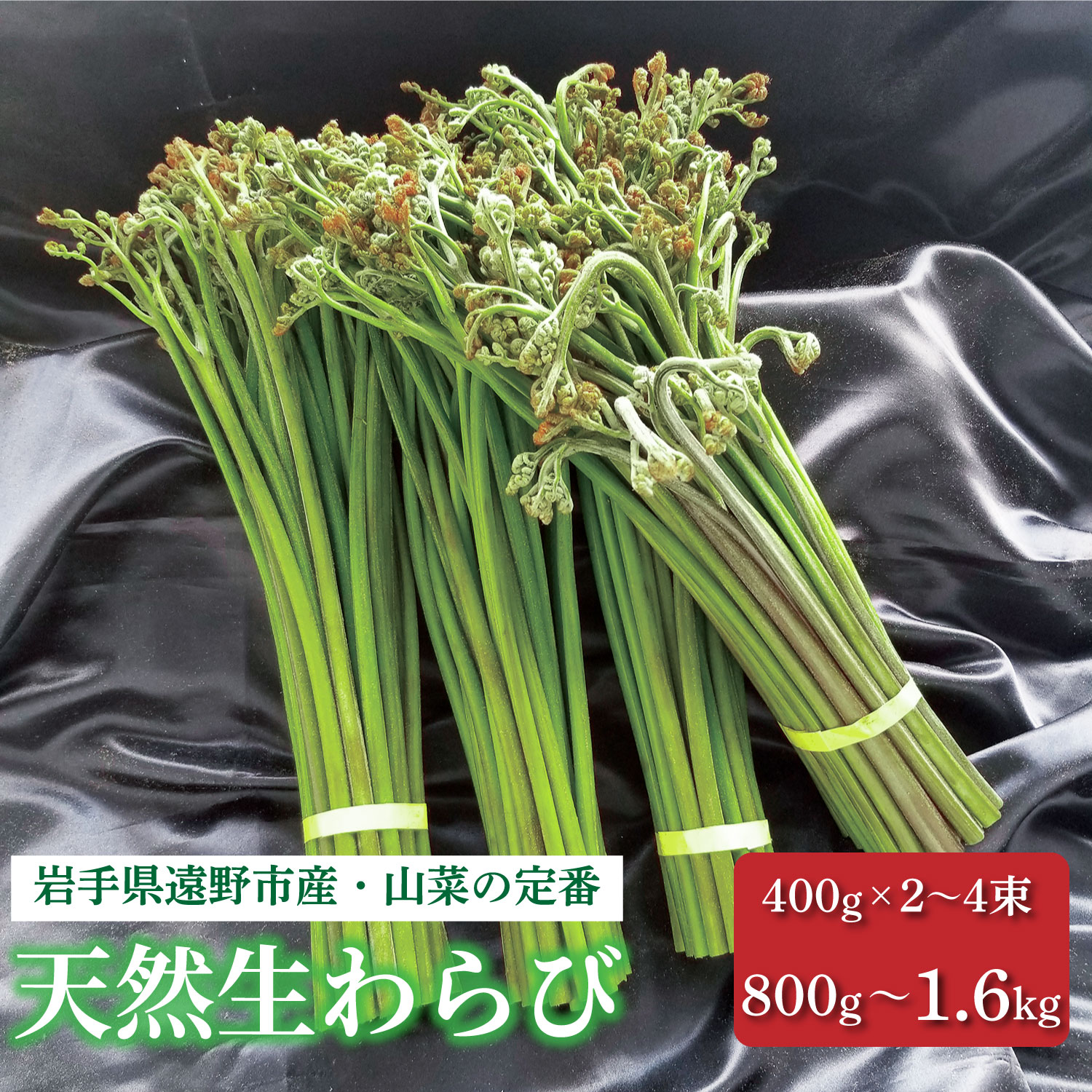 【ふるさと納税】わらび 天然 選べる 400g×2 3 4 束 計 800g 1.2kg 1.6kg 極太 超極太 岩手県 遠野市 産 山菜 生 ワラビ 旬 田村りんご店 期間限定 数量限定 令和7年産 2025年産 春野菜 春 野菜 産地 直送 お取り寄せ 新鮮 おひたし 和え物 送料無料