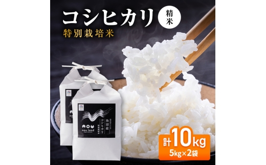 【先行予約】令和8年産 コシヒカリ 特別栽培 精米5kg×2袋