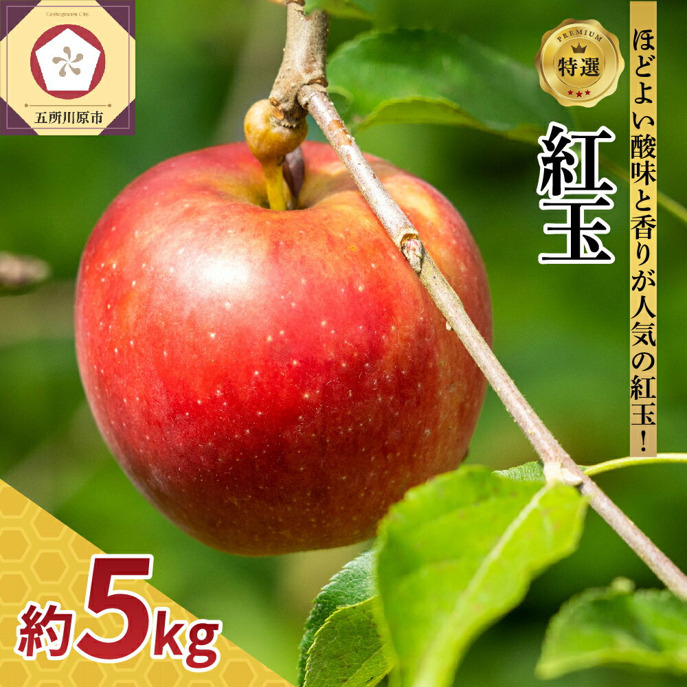 【ふるさと納税】【 配送時期が選べる 】 紅玉 5kg 程度 りんご 青森 秋 旬 果物 フルーツ 五所川原市 アップルパイ リンゴ 酸味 10月 11月 12月 | アップルパイ 等の 製菓 におすすめ