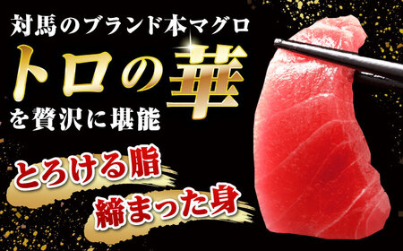 【全12回定期便】訳あり！対馬産 本マグロ 切り落とし 630g（9パック） ≪対馬市≫【桐谷商店】 トロの華 冷凍 新鮮 海鮮 小分け マグロ[WAQ038]