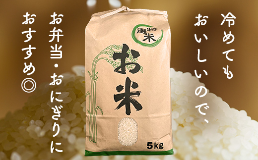 矢吹町産 コシヒカリ 令和7年産米 玄米 5kg F6U-477