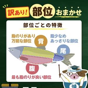 【訳あり】アトランティック サーモン ハラス＆カマ＆中骨 バラエティセット（500ｇ 1パック）