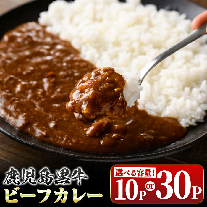 鹿児島黒牛ビーフカレー(160g×10P) 鹿児島 国産 黒牛 牛肉 ビーフ レトルトカレー パック ご当地カレー おかず 惣菜 ギフト 贈答 常温保存 常温【新村畜産】
