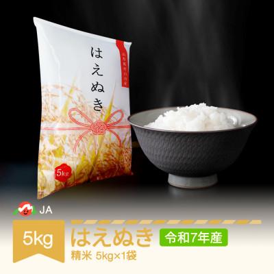 ふるさと納税 村山市 令和7年産 はえぬき 精米 5kg