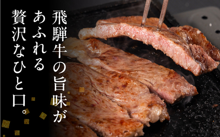 飛騨牛　サーロインステーキ　500g(250g×2)　A4等級 A5等級　