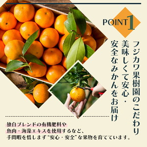 しらぬひ 讃岐 柑橘 デコポン しらぬひ【約3kg】【先行予約】