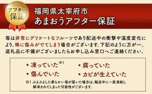 【3回定期便】 うるう農園のあまおう サイズ色々6パック （計約1710g） 【2027年2月上旬～4月下旬発送予定】 あまおう いちご 苺 果物 フルーツ 定期便 冷蔵 福岡県 太宰府