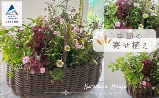 
                  季節の寄せ植え《籐籠》 母の日 ギフト プレゼント
                