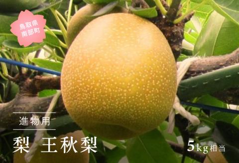 王秋梨（進物用5kg箱） 2025年10月21日・24日・28日出荷予定＜数量限定＞