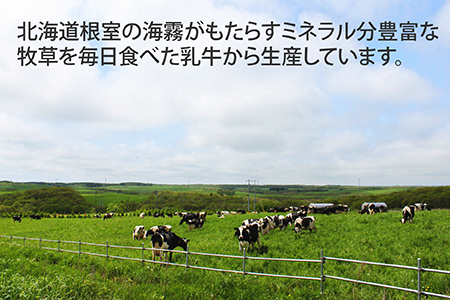 【北海道根室産】低温殺菌牛乳800ml×4本 A-13025