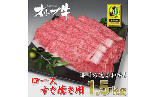 
M18-0032_黒毛和牛オリーブ牛ロースすき焼き用　約500ｇ×3
