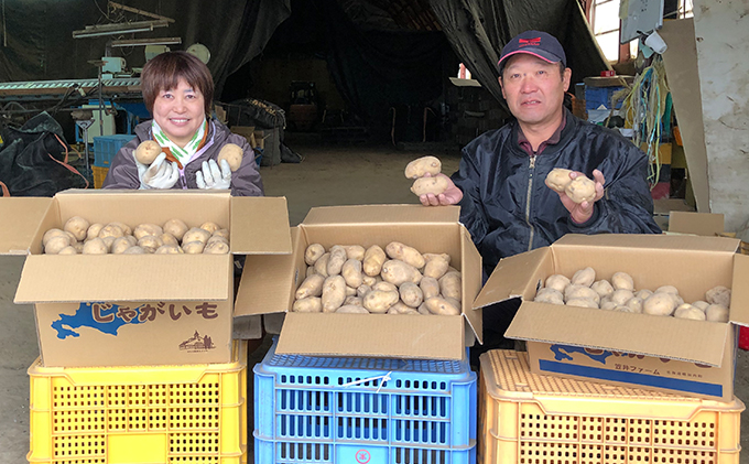 北海道 幌加内産 じゃがいも（ 男爵 ）約20kg 笠井ファーム