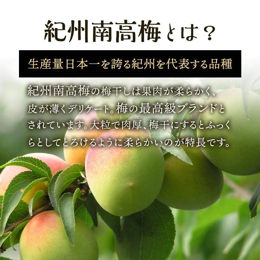 紀州南高梅使用 はちみつ うす塩味 完熟梅干し 無選別 約800g [TM198]