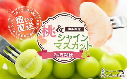 【旬の桃とシャインマスカットの2回定期便】 桃約2kg（5～6玉）、シャインマスカット約1.8kg（2～4房）