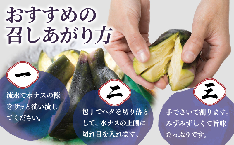 こだわり水ナス漬 4個【茄子 なす 野菜 国産 漬物 旬 おつまみ 糠漬け ぬか漬け ナス】 005A795_イメージ4