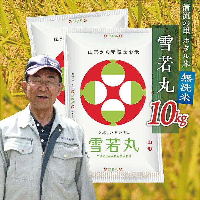 【ふるさと納税】令和7年産【無洗米】最上町産 ホタル米雪若丸10kg(5kg×2袋)