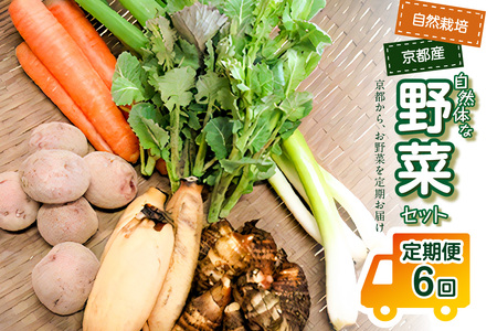 ＜京都産野菜定期便6回＞自然体な野菜セット 旬の野菜 野菜詰合せ 野菜セット 野菜定期便 6回 自然農園 自然栽培 安心 安全 健康 マクロビ ベジタリアン 定期便 京野菜 京都 木津川  086-0