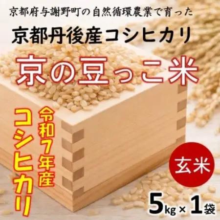 令和7年 京都府産「京の豆っこ米」 玄米5kg　おいしい丹後のコシヒカリ　農家直送【1744689】