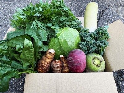 【数量限定】小国の旬の新鮮冬野菜セット　5品以上　