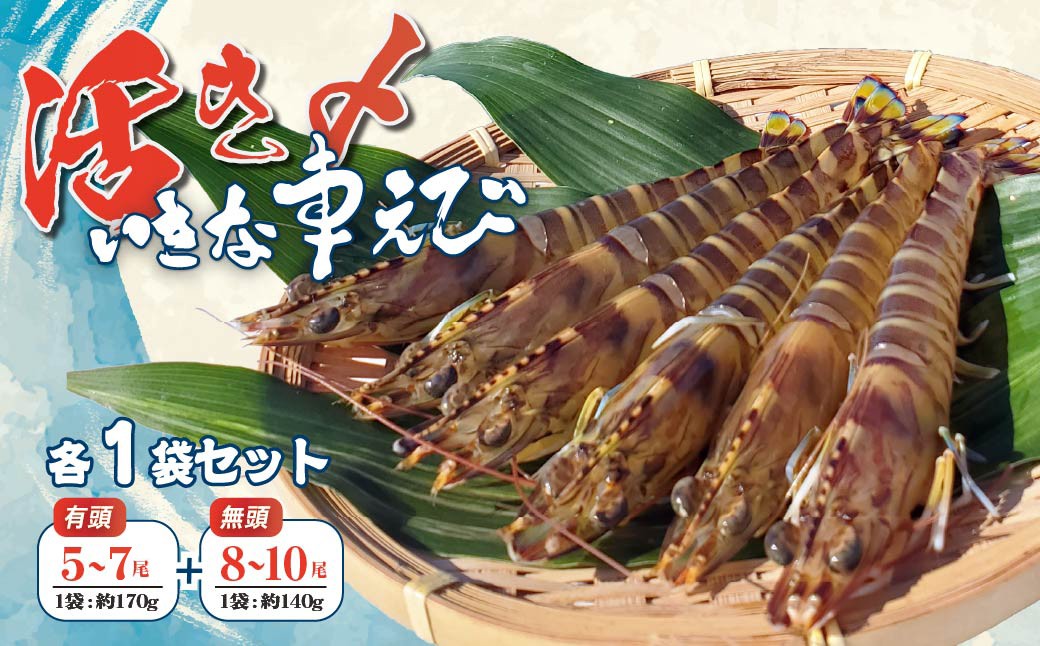 
                  急速冷凍 活きな 車えび 有頭5～7尾（約170g）無頭8～10尾（約140g）各1袋セット | 高級食材 車海老 海鮮 冷凍エビ 車海老 くるまえび 車えび 冷凍えび 海鮮セット 冷凍海鮮 国産 冷凍 車海老 無頭 車えび 車エビ クルマエビ 海老【1576873】
                