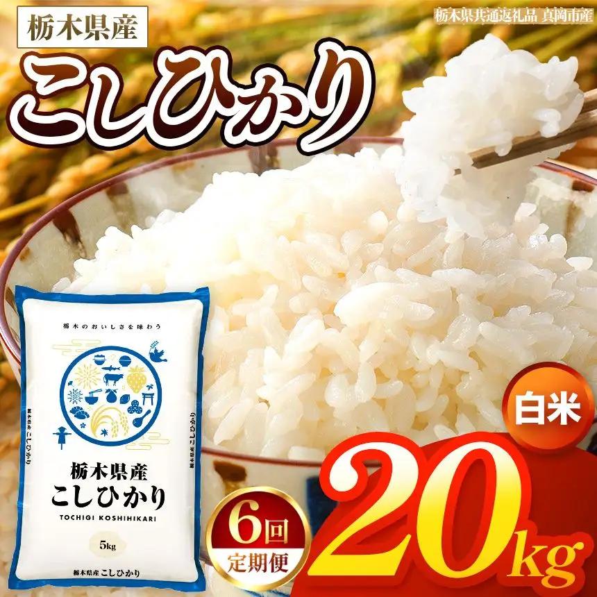 【令和8年産 新米】 【定期便6回】栃木県産 お米 こしひかり　（白米） 20kg 【2026年秋以降発送 】 |  栃木県 矢板市 【栃木県共通返礼品 真岡市産】