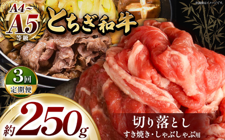 【定期3回】最高位賞を受賞！最高級ブランドの柔らかく風味豊かなとちぎ和牛切り落とし 250g（すき焼き・しゃぶしゃぶ用） | 霜降り 和牛 切り落とし とろける 品質 柔らかく 銘柄牛 安心 安全 美味しい おいしい 芸術品 特産品 ふるさと 納税 栃木県共通返礼品 栃木県 那珂川町 送料無料